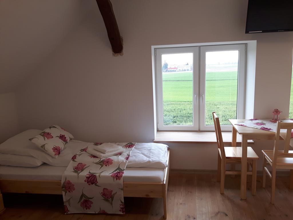Goscinne Pod Brzozka Farm stay *